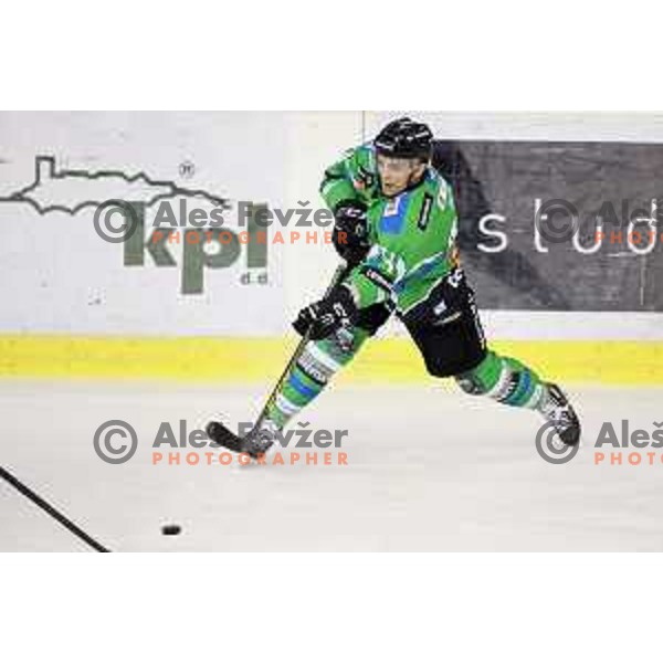 of Telemach Olimpija in action during ice-hockey match Telemach Olimpija-Dornbirn in EBEL league 2015/2016 in Hala Tivoli, Ljubljana, Slovenia on October 13, 2015