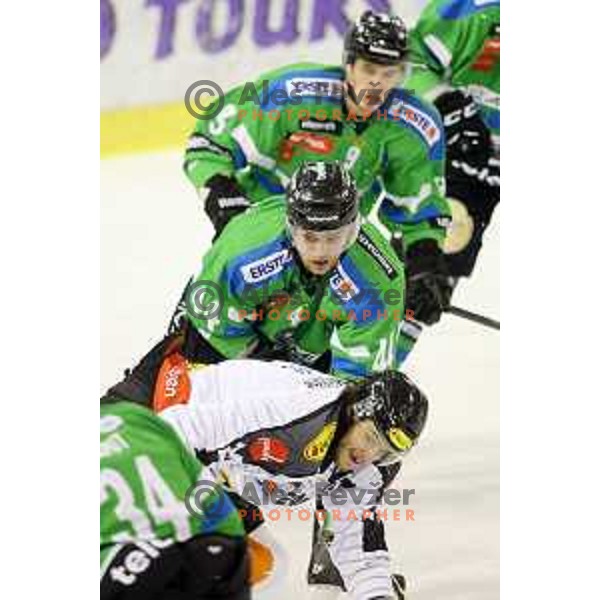 of Telemach Olimpija in action during ice-hockey match Telemach Olimpija-Dornbirn in EBEL league 2015/2016 in Hala Tivoli, Ljubljana, Slovenia on October 13, 2015