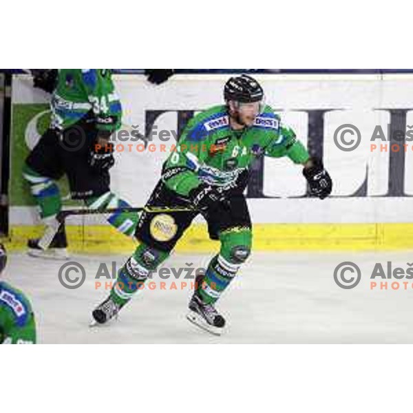 of Telemach Olimpija in action during ice-hockey match Telemach Olimpija-Sapa Fehervar in EBEL league 2015/2016 in Hala Tivoli, Ljubljana, Slovenia on October 11, 2015