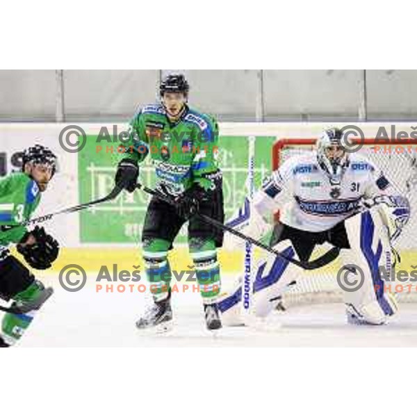 of Telemach Olimpija in action during ice-hockey match Telemach Olimpija-Sapa Fehervar in EBEL league 2015/2016 in Hala Tivoli, Ljubljana, Slovenia on October 11, 2015