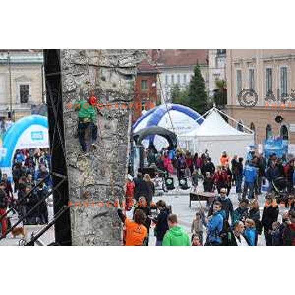 Olympic Festival with Slovenian Olympic Committee at Congress Square in Ljubljana, Slovenia on October 18, 2015