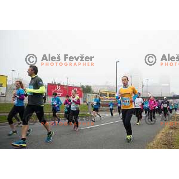 runners during 20.Volkswagen Ljubljana Marathon, Slovenia on October 25, 2015.