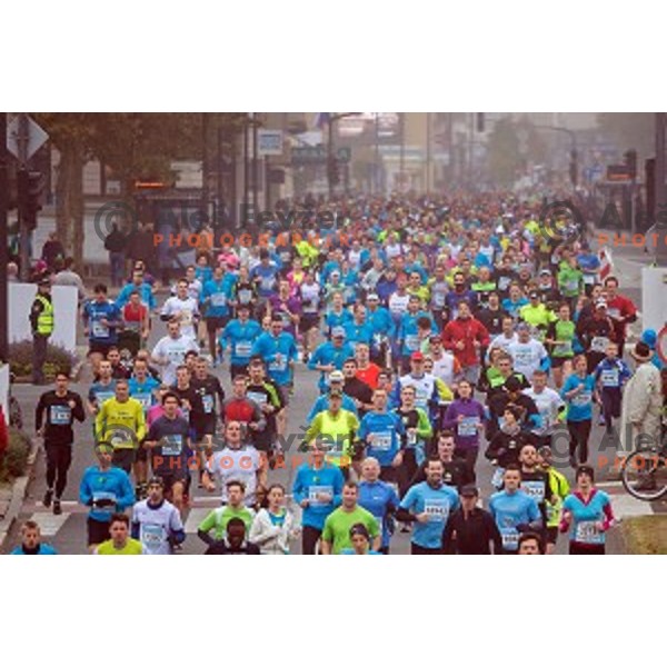 runners during 20.Volkswagen Ljubljana Marathon,Slovenia on October 25, 2015.