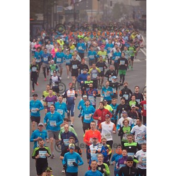 runners during 20.Volkswagen Ljubljana Marathon,Slovenia on October 25, 2015.