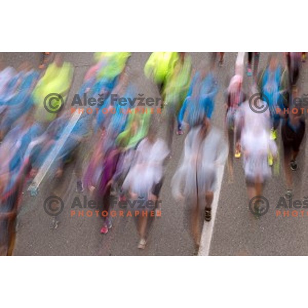 runners during 20.Volkswagen Ljubljana Marathon,Slovenia on October 25, 2015.