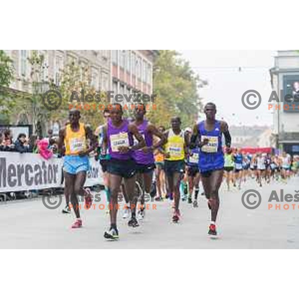 runners during 20.Volkswagen Ljubljana Marathon, Slovenia on October 25, 2015.