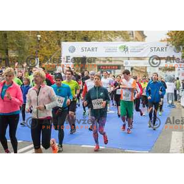 runners during 20.Volkswagen Ljubljana Marathon, Slovenia on October 25, 2015.