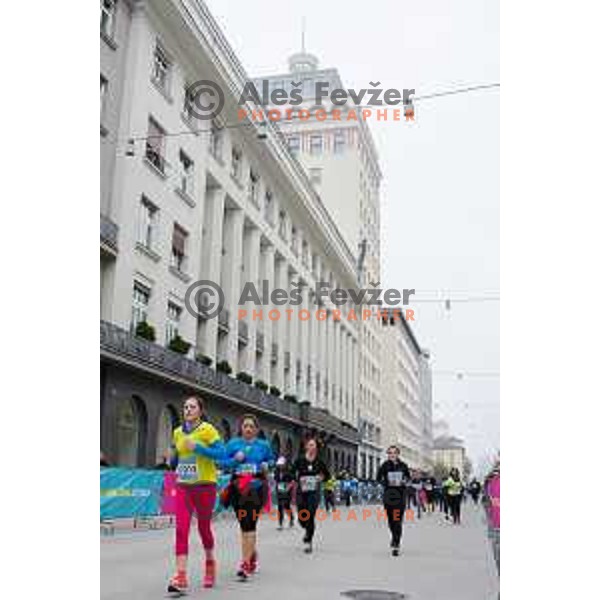 runners during 20.Volkswagen Ljubljana Marathon, Slovenia on October 25, 2015.