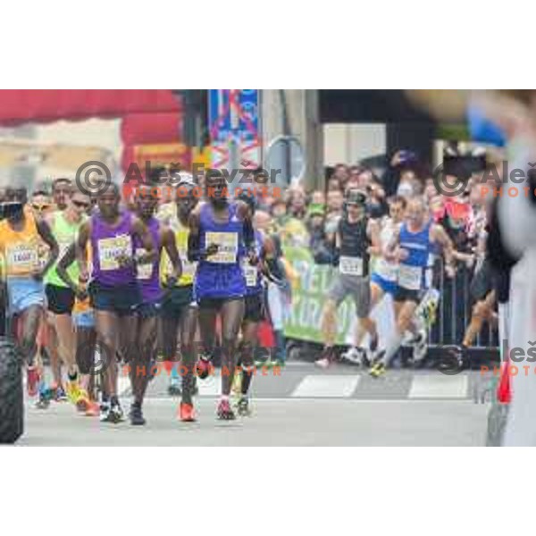 runners during 20.Volkswagen Ljubljana Marathon, Slovenia on October 25, 2015.
