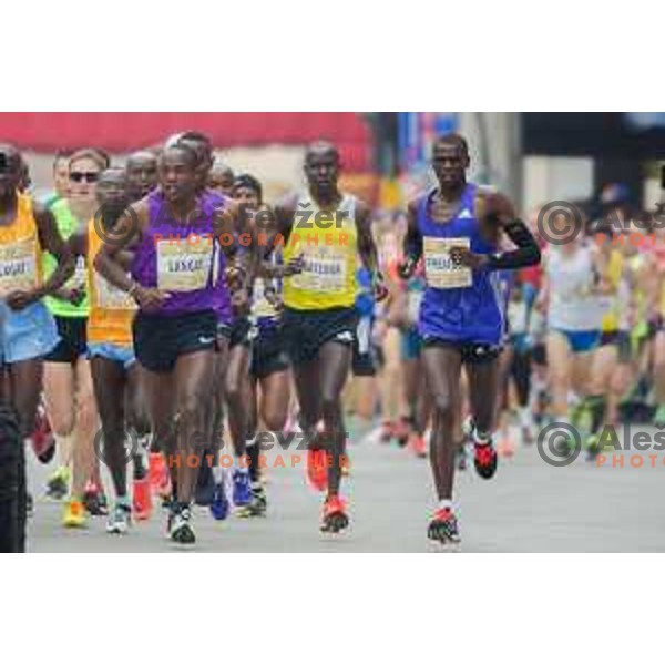 runners during 20.Volkswagen Ljubljana Marathon, Slovenia on October 25, 2015.