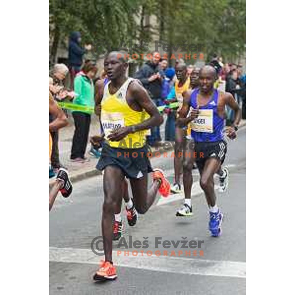 runners during 20.Volkswagen Ljubljana Marathon, Slovenia on October 25, 2015.