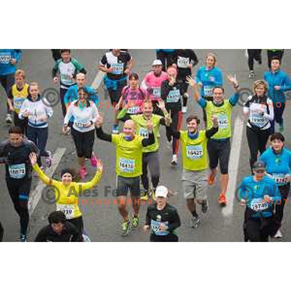 During 20. Volkswagen Ljubljana Marathon, Ljubljana, Slovenia, October, 25th, 2015.