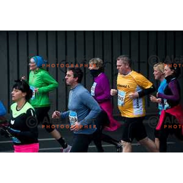 During 20. Volkswagen Ljubljana Marathon, Ljubljana, Slovenia, October, 25th, 2015.