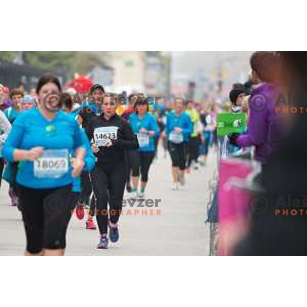 During 20. Volkswagen Ljubljana Marathon, Ljubljana, Slovenia, October, 25th, 2015.