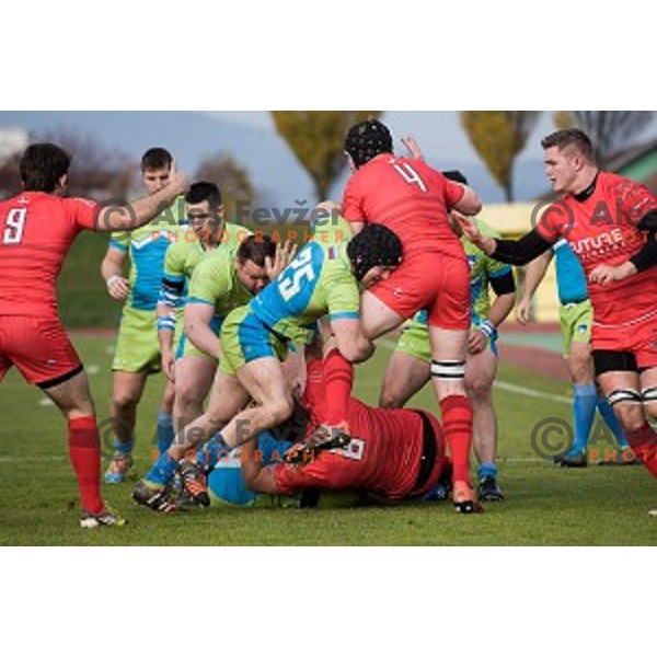 in action during rugby match Slovenia - Denmark , European Nations cup , Division 2C, ZAK, Ljubljana, Slovenia , 14.11.2015