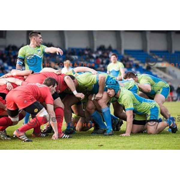 in action during rugby match Slovenia - Denmark , European Nations cup , Division 2C, ZAK, Ljubljana, Slovenia , 14.11.2015