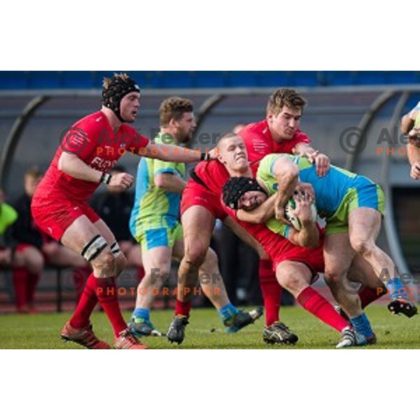 in action during rugby match Slovenia - Denmark , European Nations cup , Division 2C, ZAK, Ljubljana, Slovenia , 14.11.2015