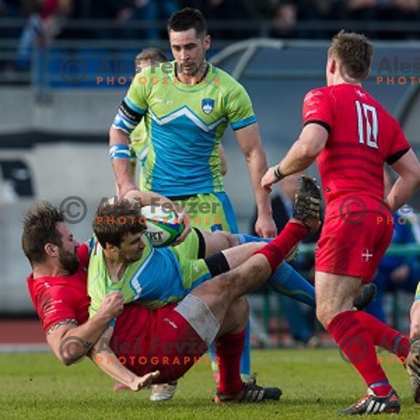 in action during rugby match Slovenia - Denmark , European Nations cup , Division 2C, ZAK, Ljubljana, Slovenia , 14.11.2015