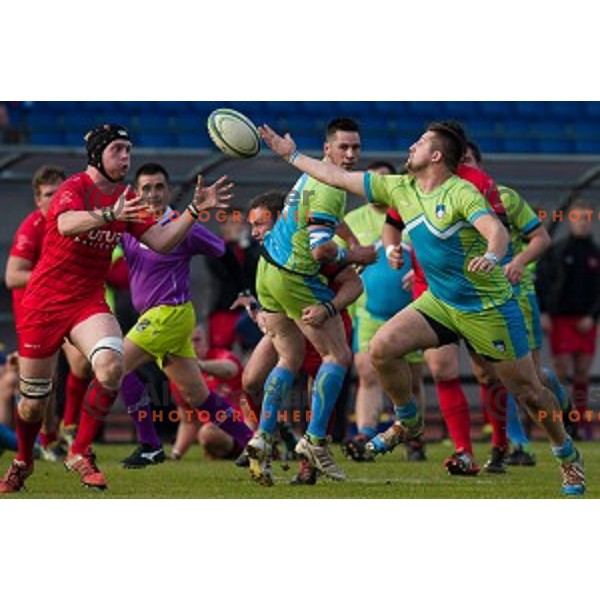 in action during rugby match Slovenia - Denmark , European Nations cup , Division 2C, ZAK, Ljubljana, Slovenia , 14.11.2015
