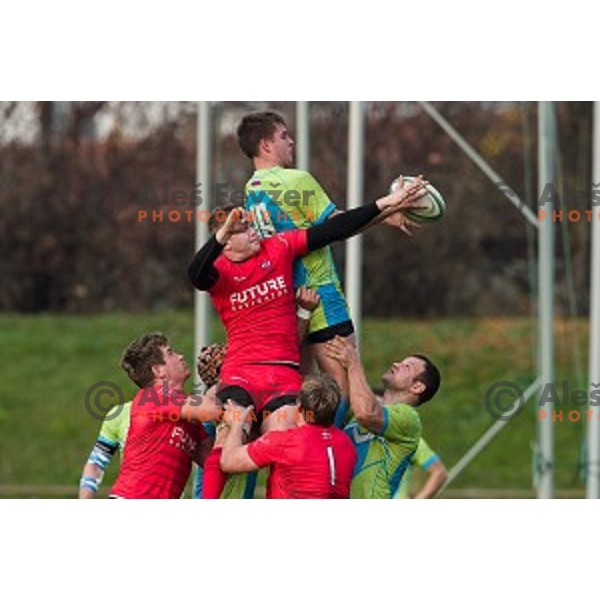 in action during rugby match Slovenia - Denmark , European Nations cup , Division 2C, ZAK, Ljubljana, Slovenia , 14.11.2015