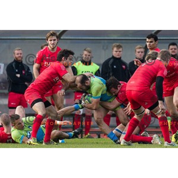 in action during rugby match Slovenia - Denmark , European Nations cup , Division 2C, ZAK, Ljubljana, Slovenia , 14.11.2015