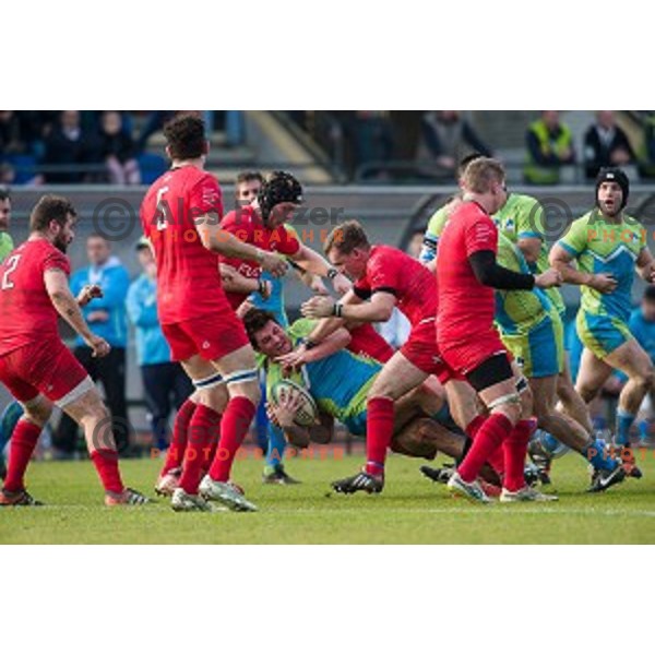 in action during rugby match Slovenia - Denmark , European Nations cup , Division 2C, ZAK, Ljubljana, Slovenia , 14.11.2015