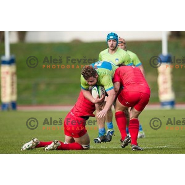 in action during rugby match Slovenia - Denmark , European Nations cup , Division 2C, ZAK, Ljubljana, Slovenia , 14.11.2015