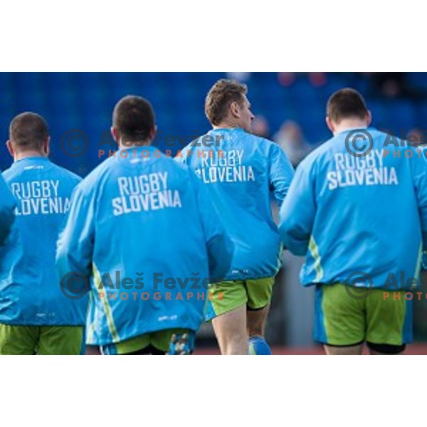 in action during rugby match Slovenia - Denmark , European Nations cup , Division 2C, ZAK, Ljubljana, Slovenia , 14.11.2015