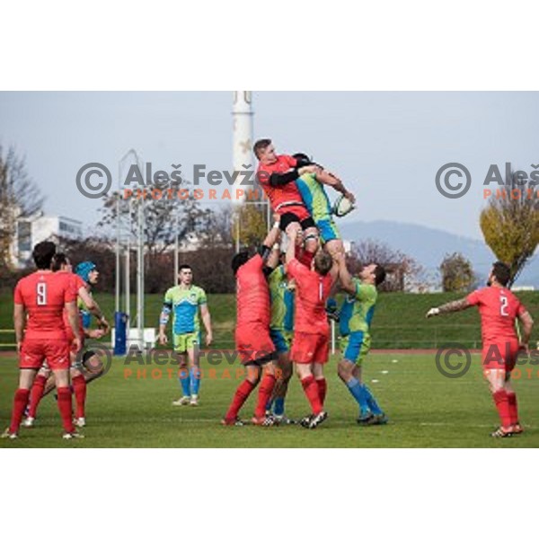 in action during rugby match Slovenia - Denmark , European Nations cup , Division 2C, ZAK, Ljubljana, Slovenia , 14.11.2015