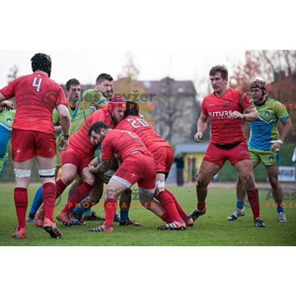 in action during rugby match Slovenia - Denmark , European Nations cup , Division 2C, ZAK, Ljubljana, Slovenia , 14.11.2015