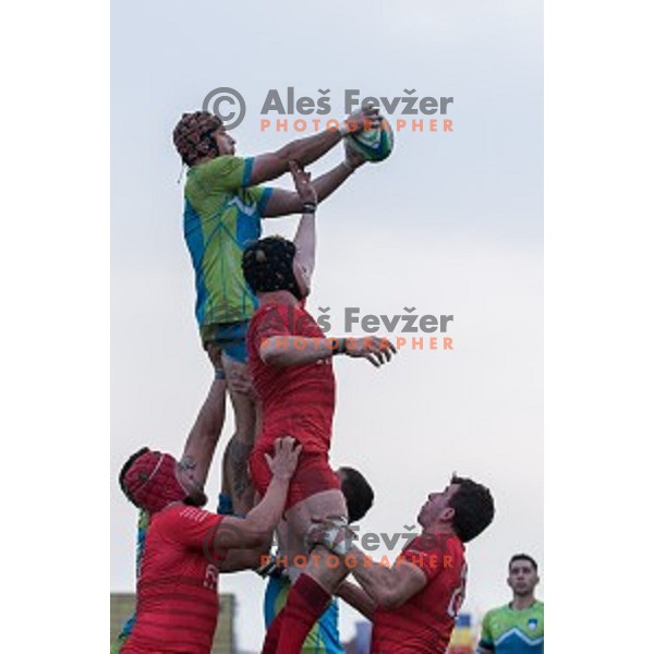 in action during rugby match Slovenia - Denmark , European Nations cup , Division 2C, ZAK, Ljubljana, Slovenia , 14.11.2015