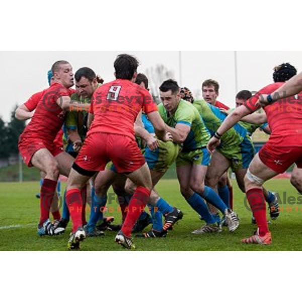 in action during rugby match Slovenia - Denmark , European Nations cup , Division 2C, ZAK, Ljubljana, Slovenia , 14.11.2015