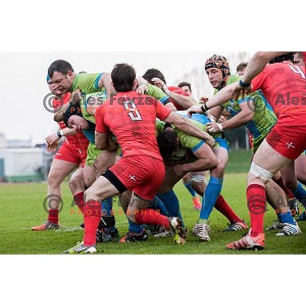 in action during rugby match Slovenia - Denmark , European Nations cup , Division 2C, ZAK, Ljubljana, Slovenia , 14.11.2015