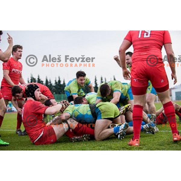 in action during rugby match Slovenia - Denmark , European Nations cup , Division 2C, ZAK, Ljubljana, Slovenia , 14.11.2015