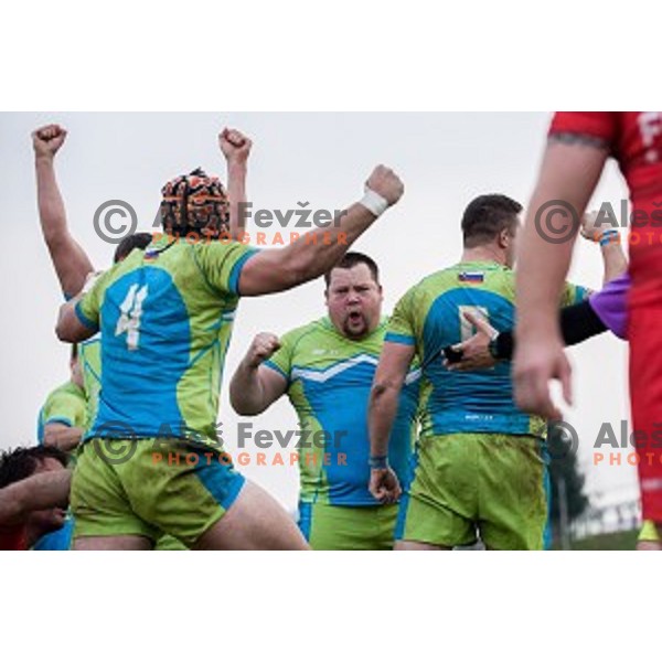 in action during rugby match Slovenia - Denmark , European Nations cup , Division 2C, ZAK, Ljubljana, Slovenia , 14.11.2015