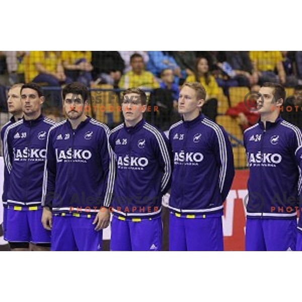 of Celje Pivovarna Lasko in action during EHF Champions league match between Celje Pivovarna Lasko and Veszprem in Zlatorog Hall, Celje, Slovenia on November 15, 2015