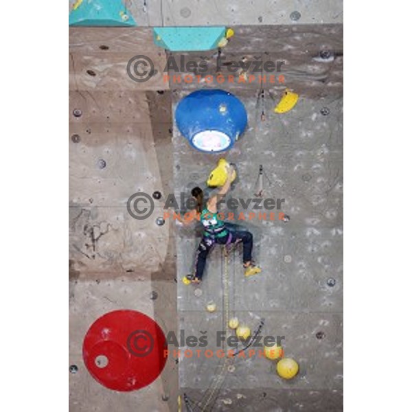 Helene Janicot (FRA) in the Final of IFSC Climbing World Cup 2015 in Zlato pole Hall, Kranj, Slovenia in November 15, 2015