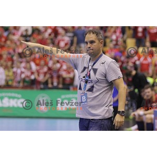 Branko Tamse, head coach of Celje Pivovarna Lasko in action during EHF Champions league match between Celje Pivovarna Lasko and Veszprem in Zlatorog Hall, Celje, Slovenia on November 15, 2015