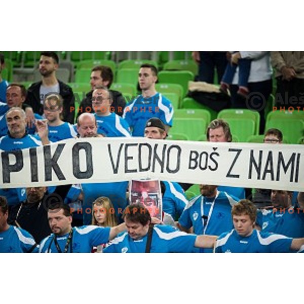 Krim fans in action during handball match between Krim Mercator - Rostov-Don, EHF Women\'s Champions League, Stozice, Ljubljana, 20.11.2015