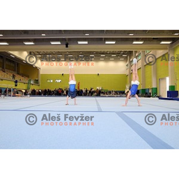 Grand Opening of Ljubljana Gymnastic Centre in Ljubljana, Slovenia on November 27, 2015