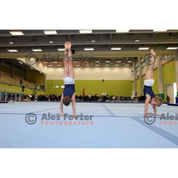 Grand Opening of Ljubljana Gymnastic Centre in Ljubljana, Slovenia on November 27, 2015