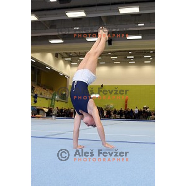 Grand Opening of Ljubljana Gymnastic Centre in Ljubljana, Slovenia on November 27, 2015