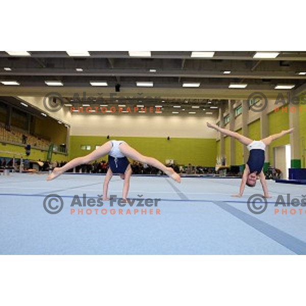 Grand Opening of Ljubljana Gymnastic Centre in Ljubljana, Slovenia on November 27, 2015