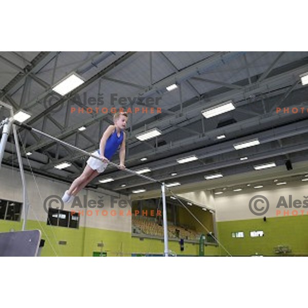Grand Opening of Ljubljana Gymnastic Centre in Ljubljana, Slovenia on November 27, 2015