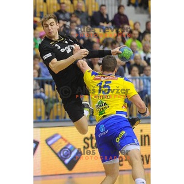 of Celje Pivovarna Lasko in action during Slovenian Cup match between Celje Pivovarna Lasko and Gorenje Velenje in Zlatorog Hall, Celje, Slovenia on December 10, 2015