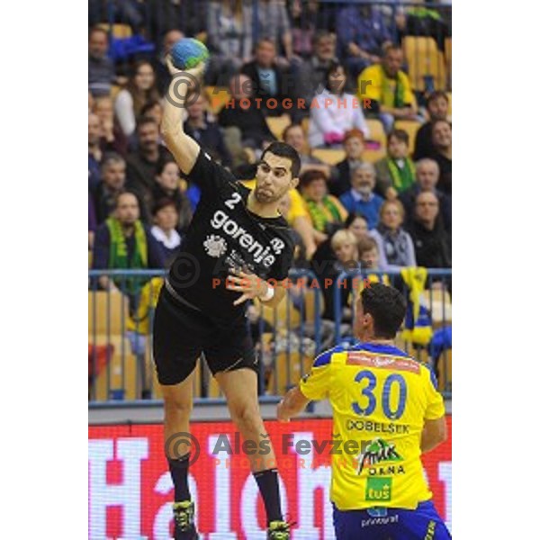 of Celje Pivovarna Lasko in action during Slovenian Cup match between Celje Pivovarna Lasko and Gorenje Velenje in Zlatorog Hall, Celje, Slovenia on December 10, 2015