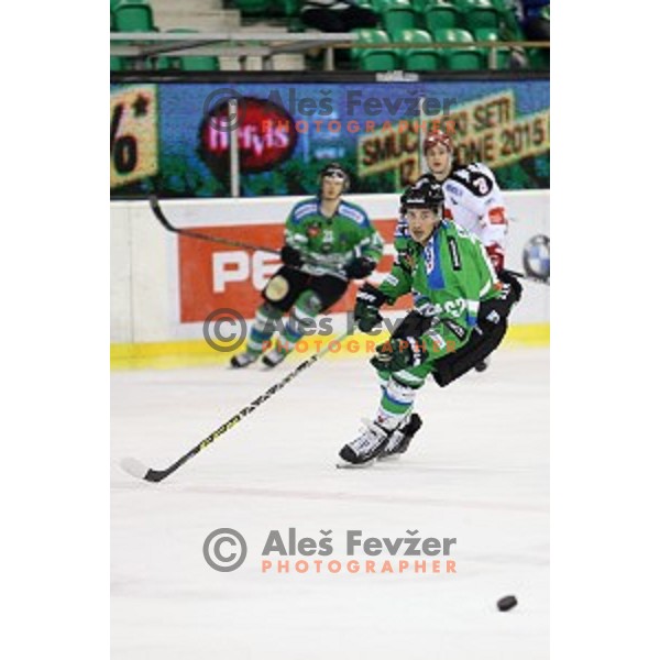 of Telemach Olimpija in action during ice-hockey match between Telemach Olimpija and TWK Innsbruck in EBEL league 2015/2016 in Tivoli Hall, Ljubljana, Slovenia on December 15, 2015