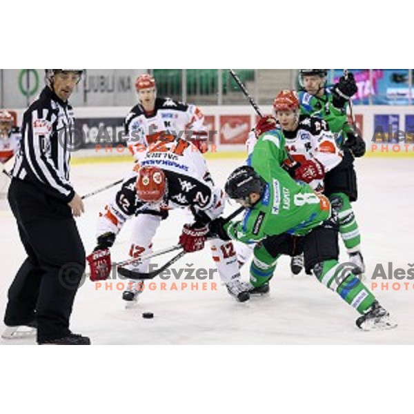 of Telemach Olimpija in action during ice-hockey match between Telemach Olimpija and TWK Innsbruck in EBEL league 2015/2016 in Tivoli Hall, Ljubljana, Slovenia on December 15, 2015