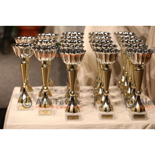 Award giving Gala Night for Best Sportsman of Ljubljana 2015 in Festival Hall, Ljubljana, Slovenia on December 10, 2015
