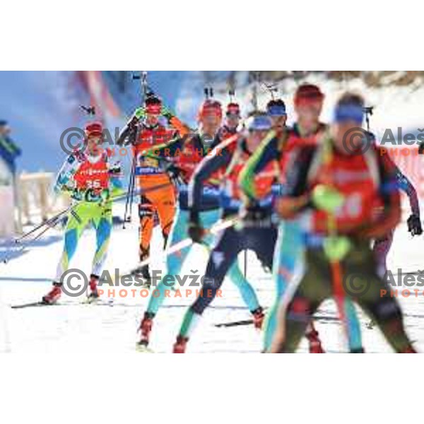 Jakov Fak during BMW IBU World Cup Biathlon Men Pursuit 12.5km at Pokljuka, Slovenia on December 19, 2015